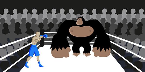You vs Amazon – Who Wins?