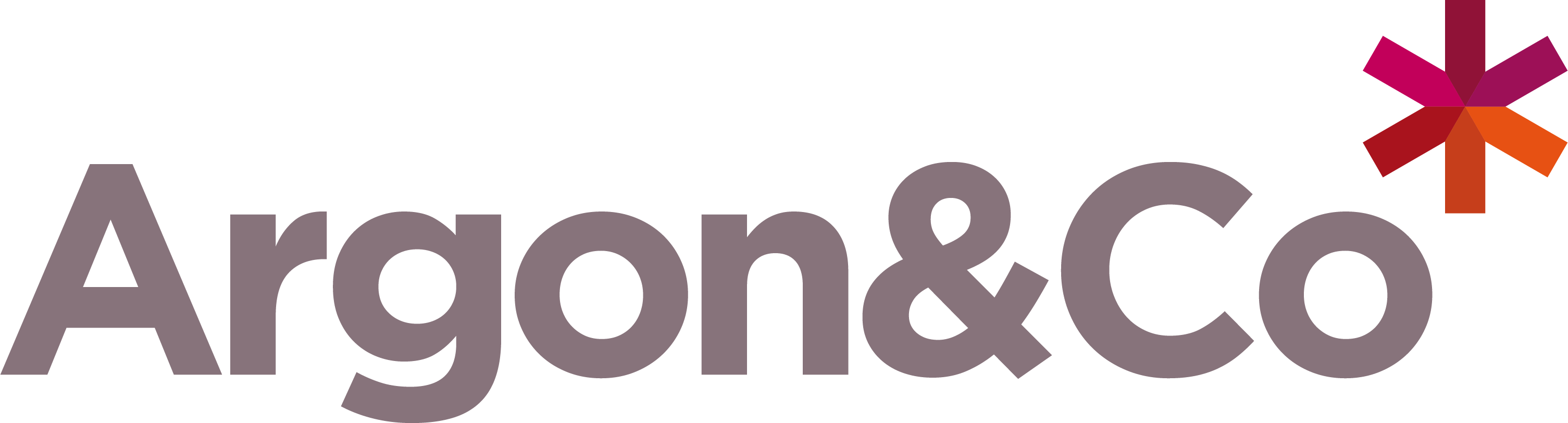Argon & Co