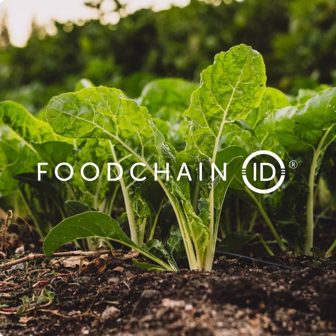centric-partners-with-foodchain-id