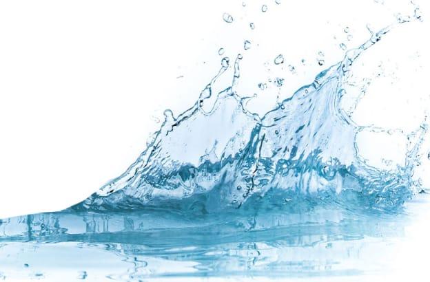 Sustainable Sips: Navigating the Future of Beverages Featured